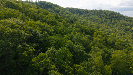 Wooded Land for Sale in Moravian Falls NC - image 29