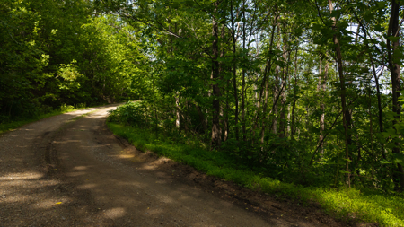 Wooded Land for Sale in Moravian Falls NC - image 23