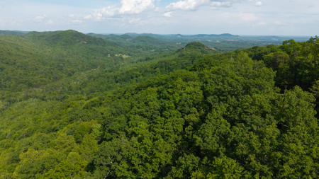 Wooded Land for Sale in Moravian Falls NC - image 31