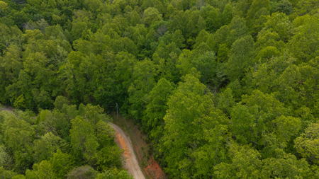 Wooded Land for Sale in Moravian Falls NC - image 2