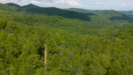 Wooded Land for Sale in Moravian Falls NC - image 24