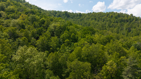 Wooded Land for Sale in Moravian Falls NC - image 18