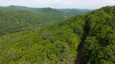 Offering #3 - Lot for Sale in the Mountains of NC - image 12
