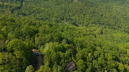 Offering #3 - Lot for Sale in the Mountains of NC - image 5