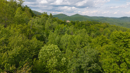 Offering #5 - Lot for Sale in Wilkes County NC - image 7