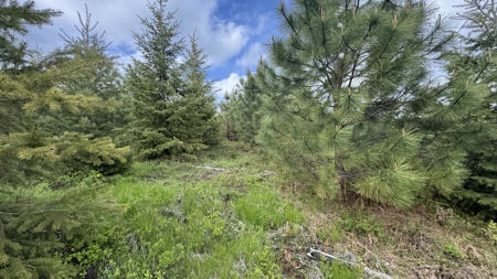 Land For Sale In Orofino Idaho - image 28