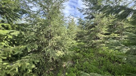 Land For Sale In Orofino Idaho - image 44