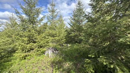 Land For Sale In Orofino Idaho - image 41