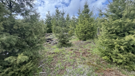 Land For Sale In Orofino Idaho - image 20