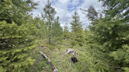 Land For Sale In Orofino Idaho - image 23