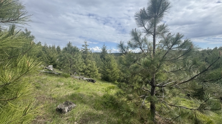 Land For Sale In Orofino Idaho - image 9