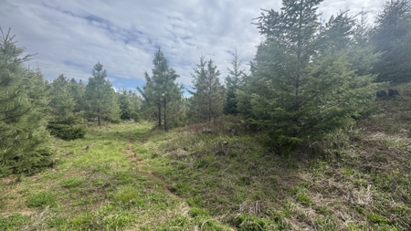 Land For Sale In Orofino Idaho - image 12