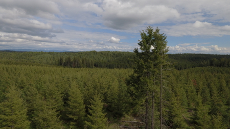 Land For Sale In Orofino Idaho - image 47