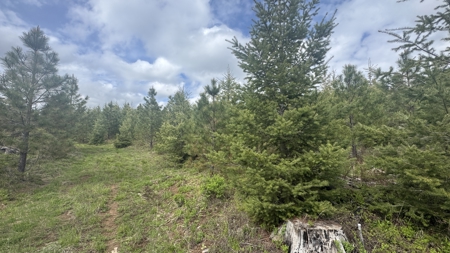 Land For Sale In Orofino Idaho - image 14