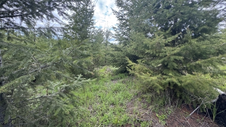 Land For Sale In Orofino Idaho - image 24