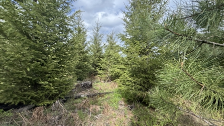 Land For Sale In Orofino Idaho - image 33