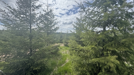 Land For Sale In Orofino Idaho - image 5
