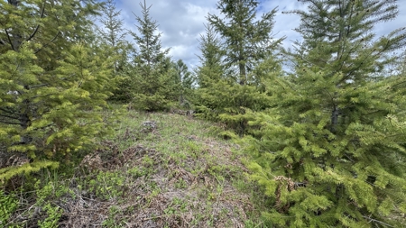 Land For Sale In Orofino Idaho - image 25