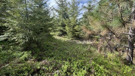 Land For Sale In Orofino Idaho - image 34