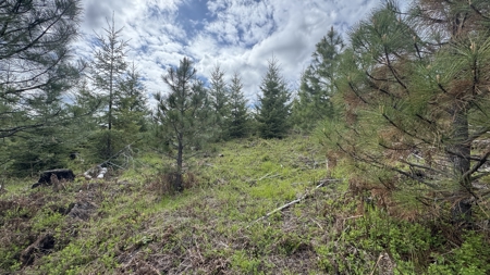 Land For Sale In Orofino Idaho - image 27