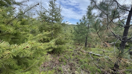 Land For Sale In Orofino Idaho - image 26