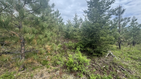 Land For Sale In Orofino Idaho - image 13