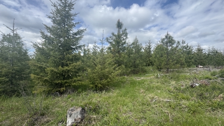 Land For Sale In Orofino Idaho - image 2