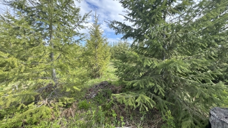 Land For Sale In Orofino Idaho - image 40