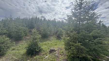 Land For Sale In Orofino Idaho - image 11
