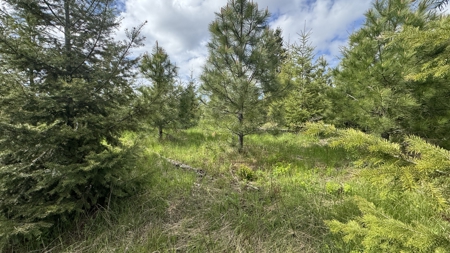 Land For Sale In Orofino Idaho - image 37
