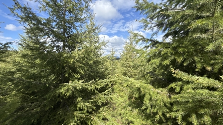 Land For Sale In Orofino Idaho - image 45