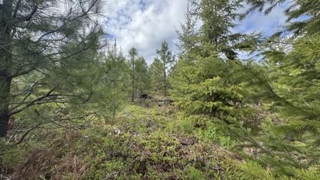 Land For Sale In Orofino Idaho - image 31