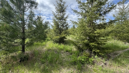 Land For Sale In Orofino Idaho - image 38