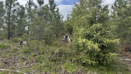 Land For Sale In Orofino Idaho - image 18