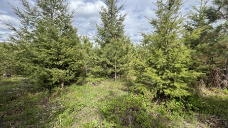 Land For Sale In Orofino Idaho - image 35