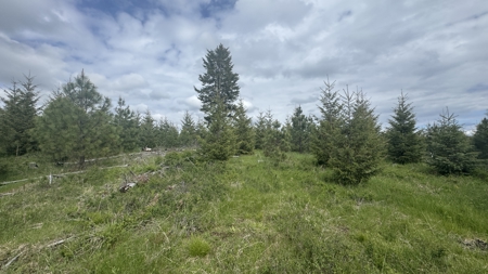 Land For Sale In Orofino Idaho - image 1