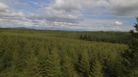 Land For Sale In Orofino Idaho - image 46