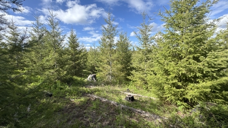 Land For Sale In Orofino Idaho - image 43