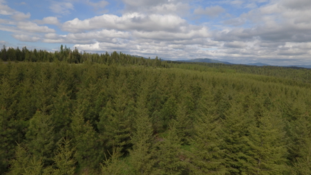 Land For Sale In Orofino Idaho - image 48