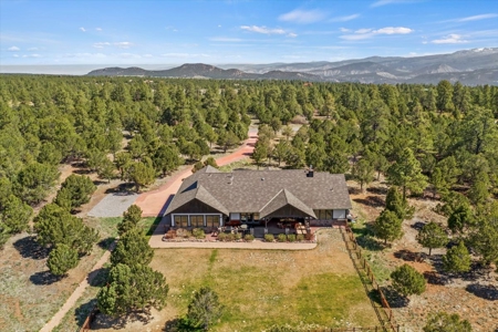 Mountain and Golf Home for Sale in Ridgway, Colorado - image 38