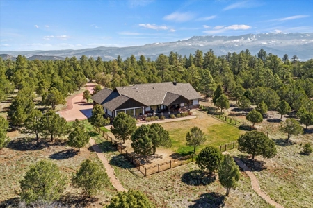 Mountain and Golf Home for Sale in Ridgway, Colorado - image 36