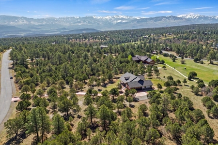 Mountain and Golf Home for Sale in Ridgway, Colorado - image 39