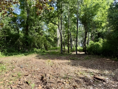 Beautiful Country Home and 103.7 acres of land Ashford, AL - image 14