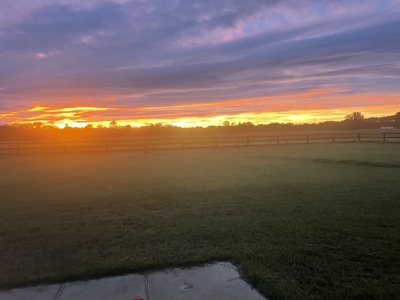 Beautiful Country Home and 103.7 acres of land Ashford, AL - image 36
