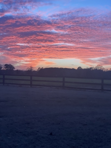 Beautiful Country Home and 103.7 acres of land Ashford, AL - image 31