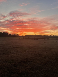 Beautiful Country Home and 103.7 acres of land Ashford, AL - image 25