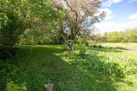 Land For Auction in Weyauwega, WI - image 16
