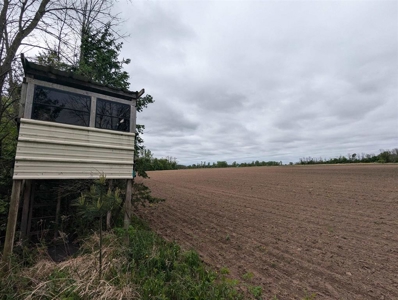 Land For Auction in Weyauwega, WI - image 35