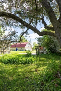 Land For Auction in Weyauwega, WI - image 9
