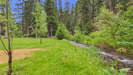 Idaho Backcountry Home for Sale in Adams County - image 35